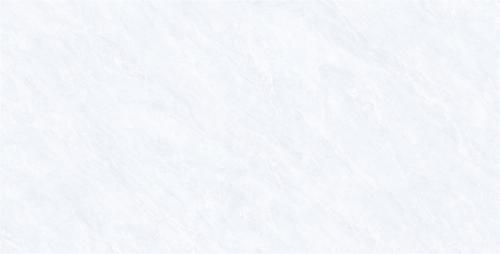 Q84R109沁园春_04